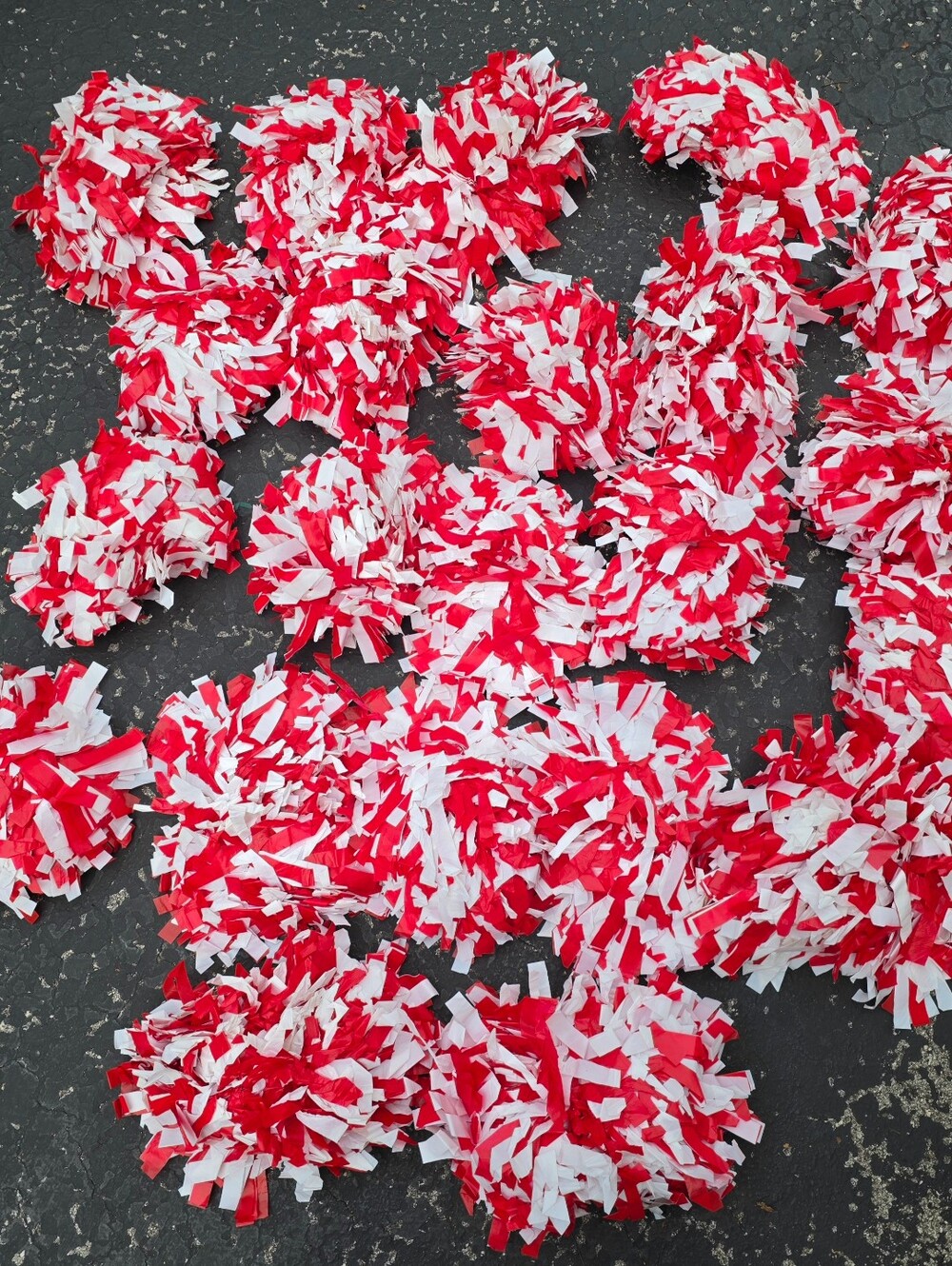 Pom Poms